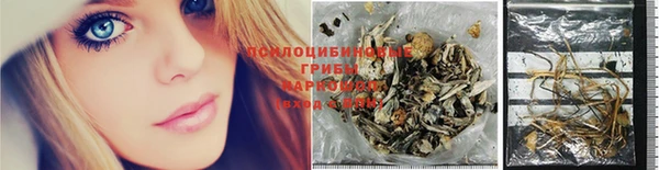 стаф Гусь-Хрустальный