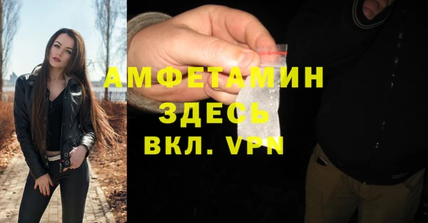 стаф Гусь-Хрустальный