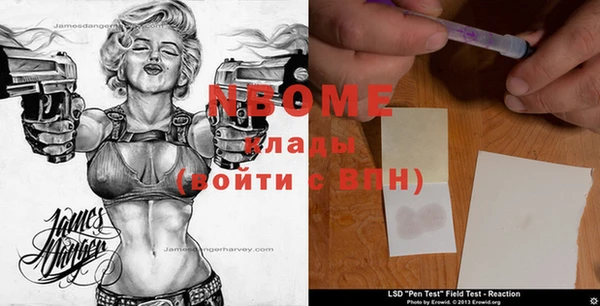 стаф Гусь-Хрустальный