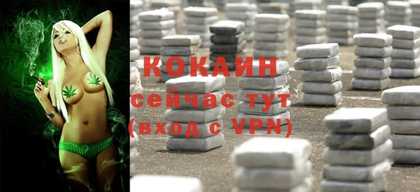 МДПВ Гусев
