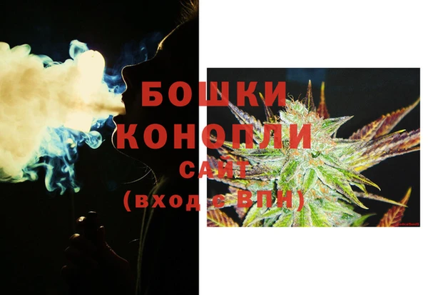 стаф Гусь-Хрустальный
