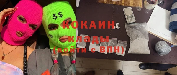 стаф Гусь-Хрустальный