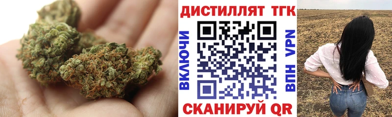 блэк спрут   Дзержинск  ТГК гашишное масло 