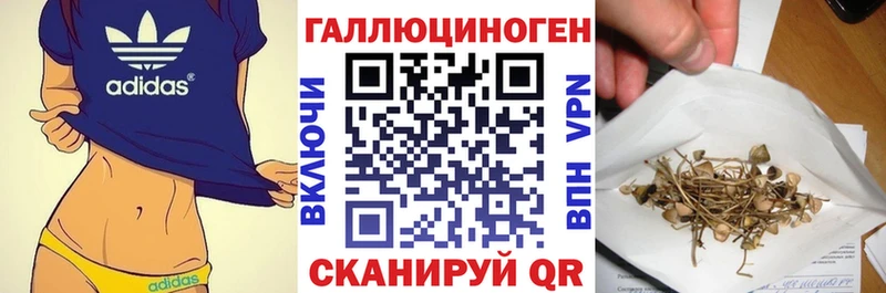 Галлюциногенные грибы Magic Shrooms  дарк нет наркотические препараты  OMG зеркало  Дзержинск  где купить  